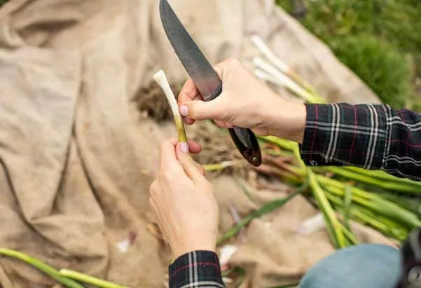 Why a Folding Chef Knife Is Perfect for Outdoor Cooking